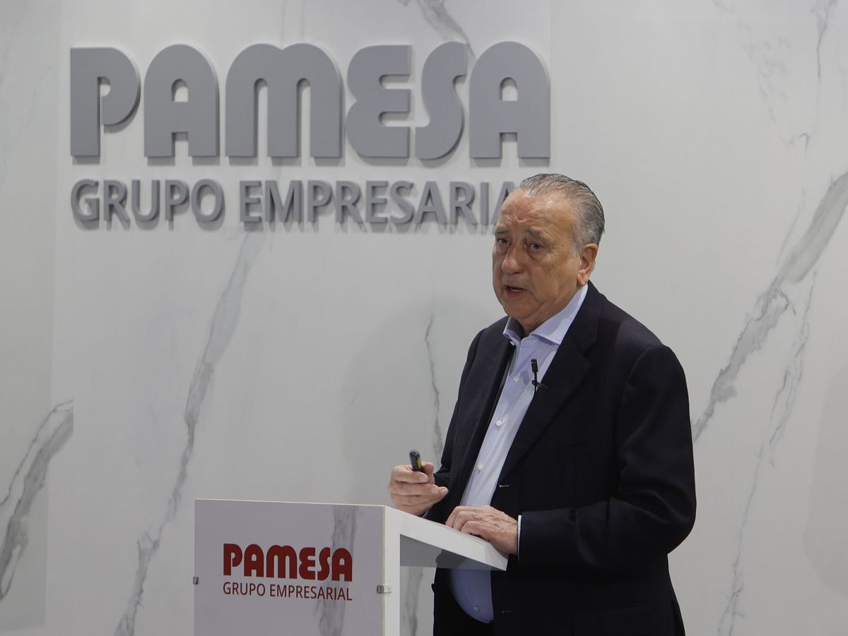 Foto: Fernando Roig, presidente del Grupo Pamesa. (EFE/Domenech Castelló)