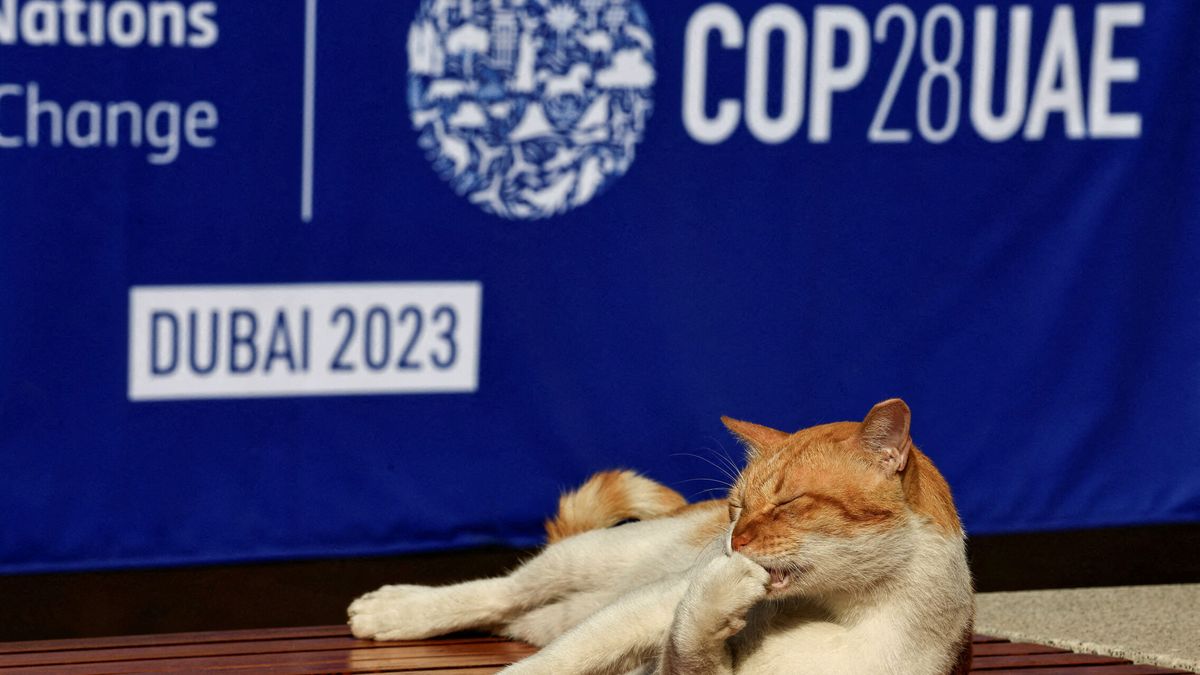 Lecciones que nos ha dejado la dura batalla de la cumbre del clima de Dubái (COP28)